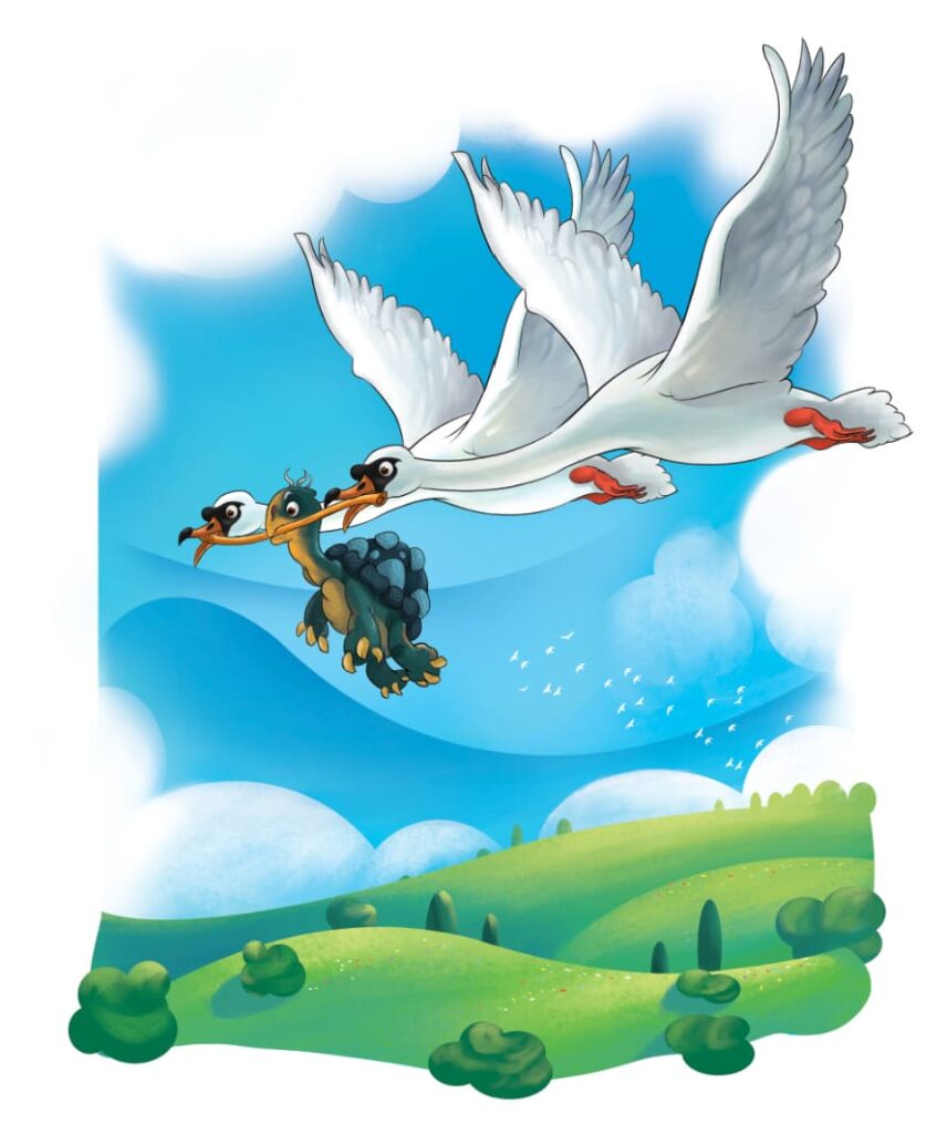 Digital Illustration Services